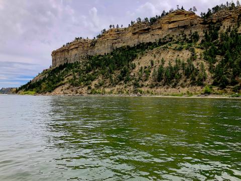 Yellowstone River Fishing