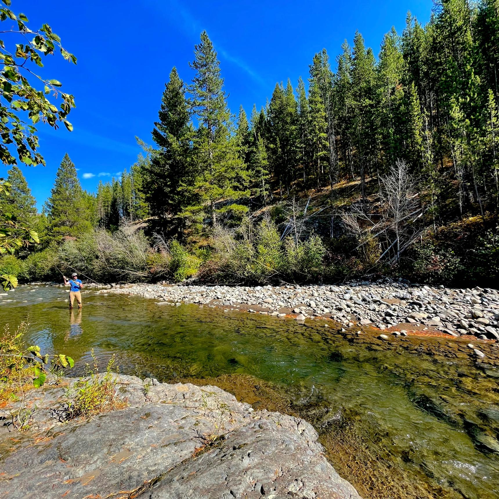 Guided Wyoming Fly Fishing Trips