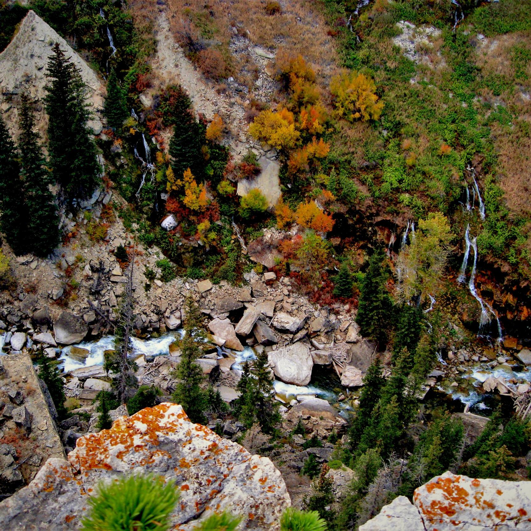 Wyoming Fishing Trips