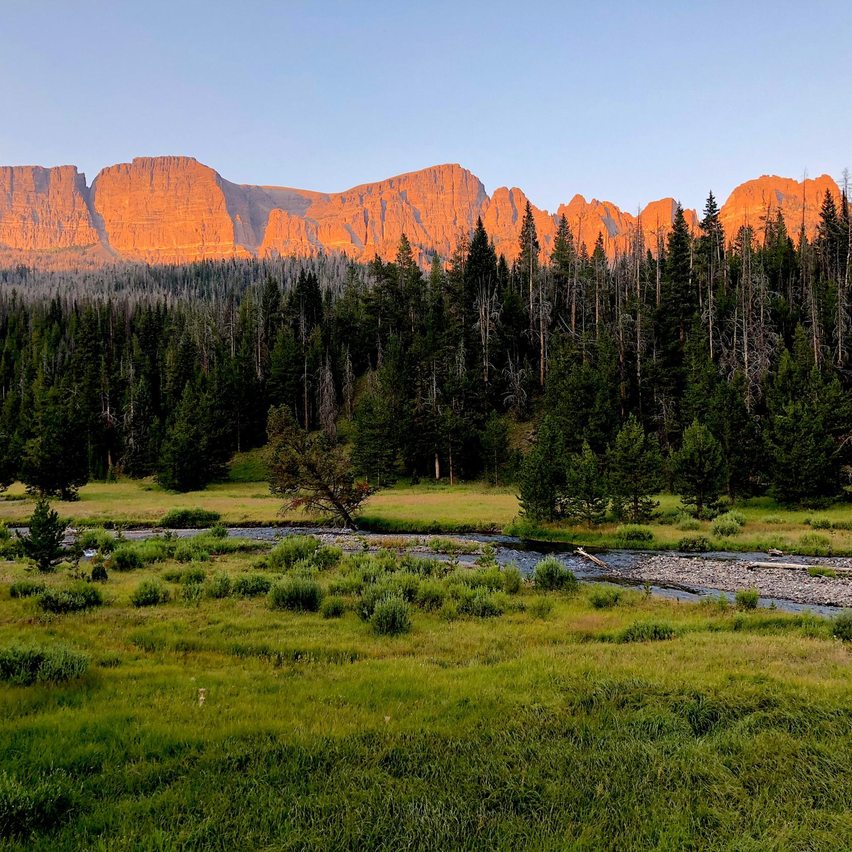 Wyoming Fly Fishing Trips