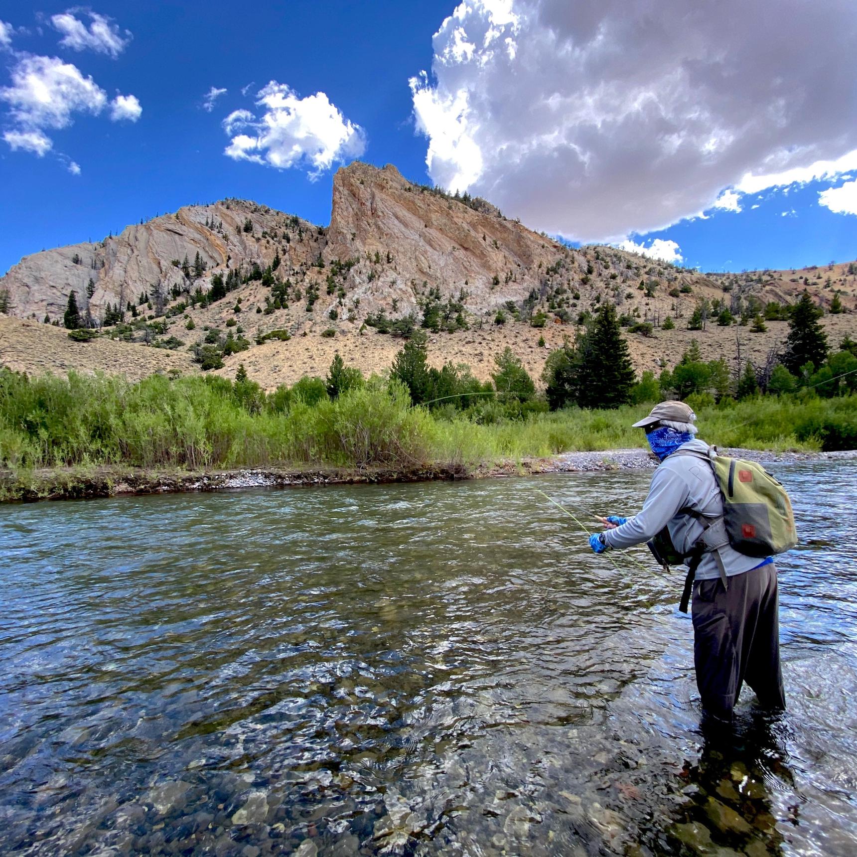 Wyoming Fly Fishing Guides