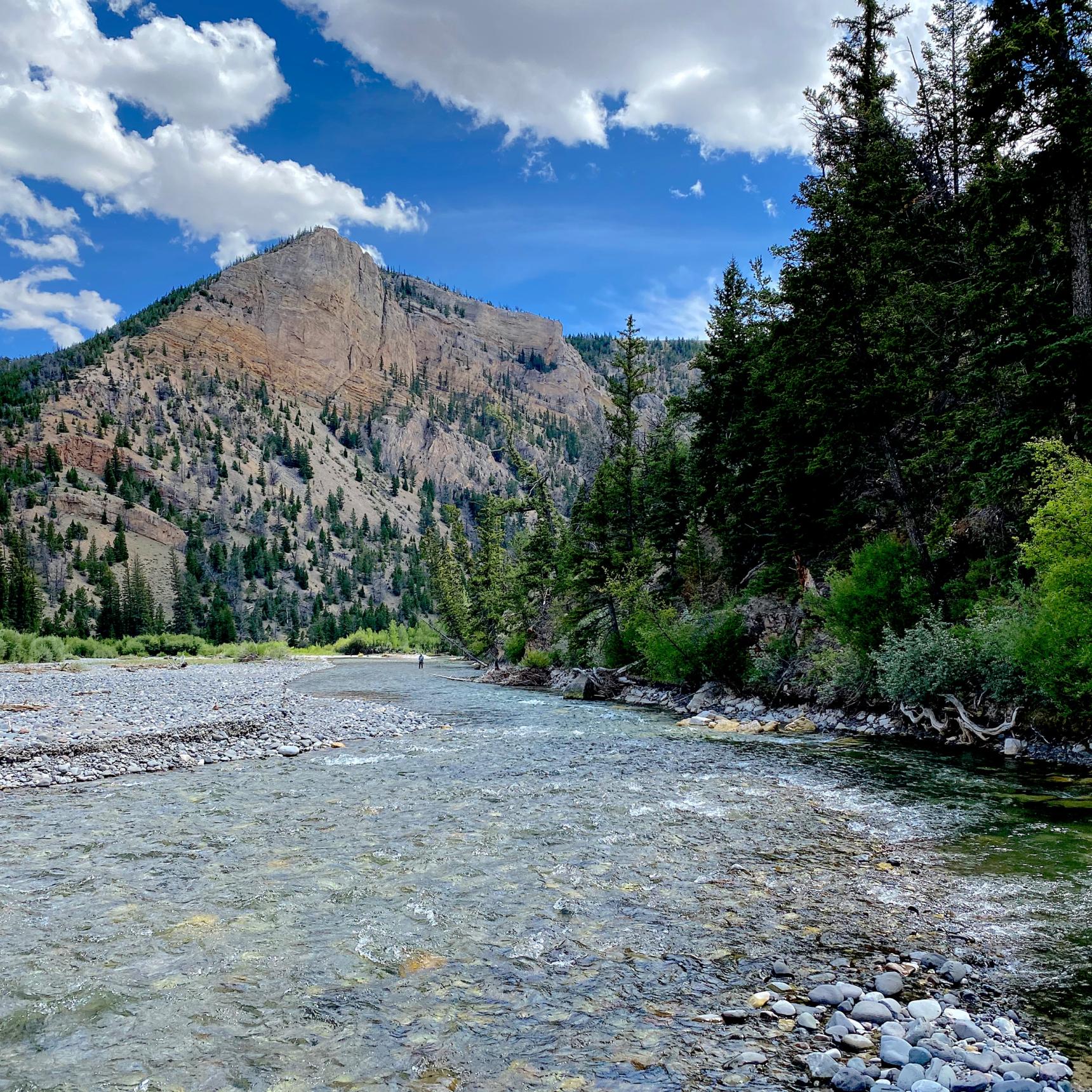 Wyoming Fly Fishing Trips