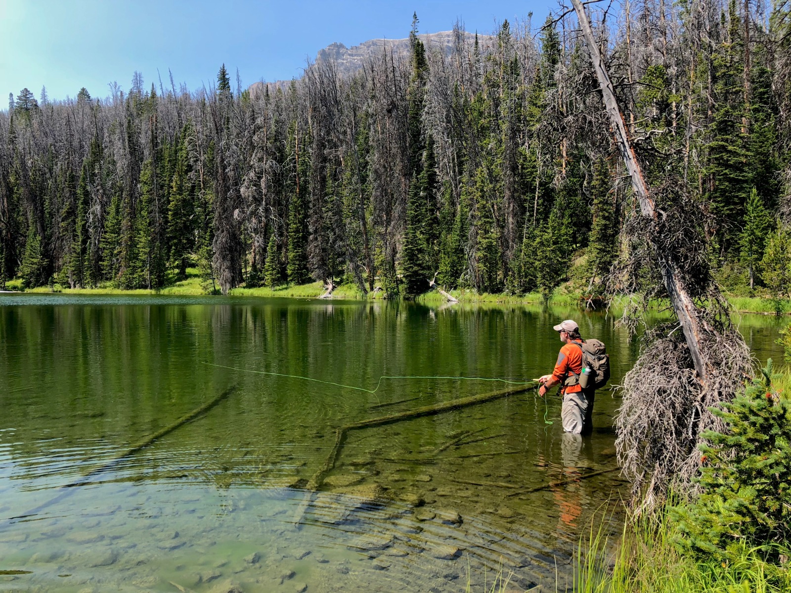 Wyoming Guided Fly Fishing Trips 
