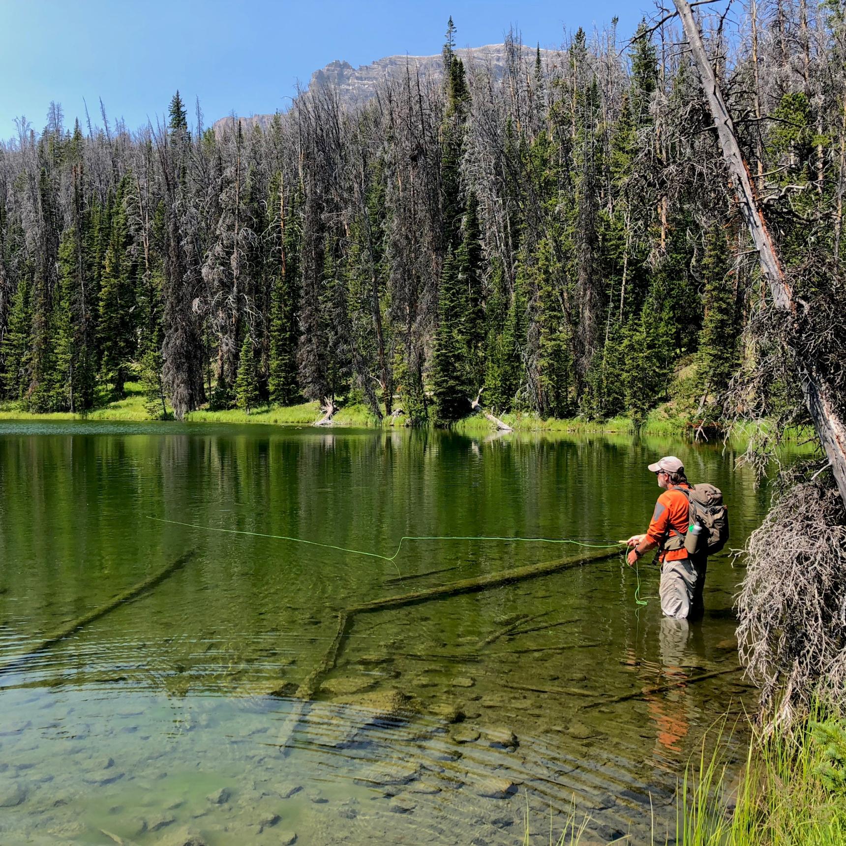 Wyoming Guided Fly Fishing Trips