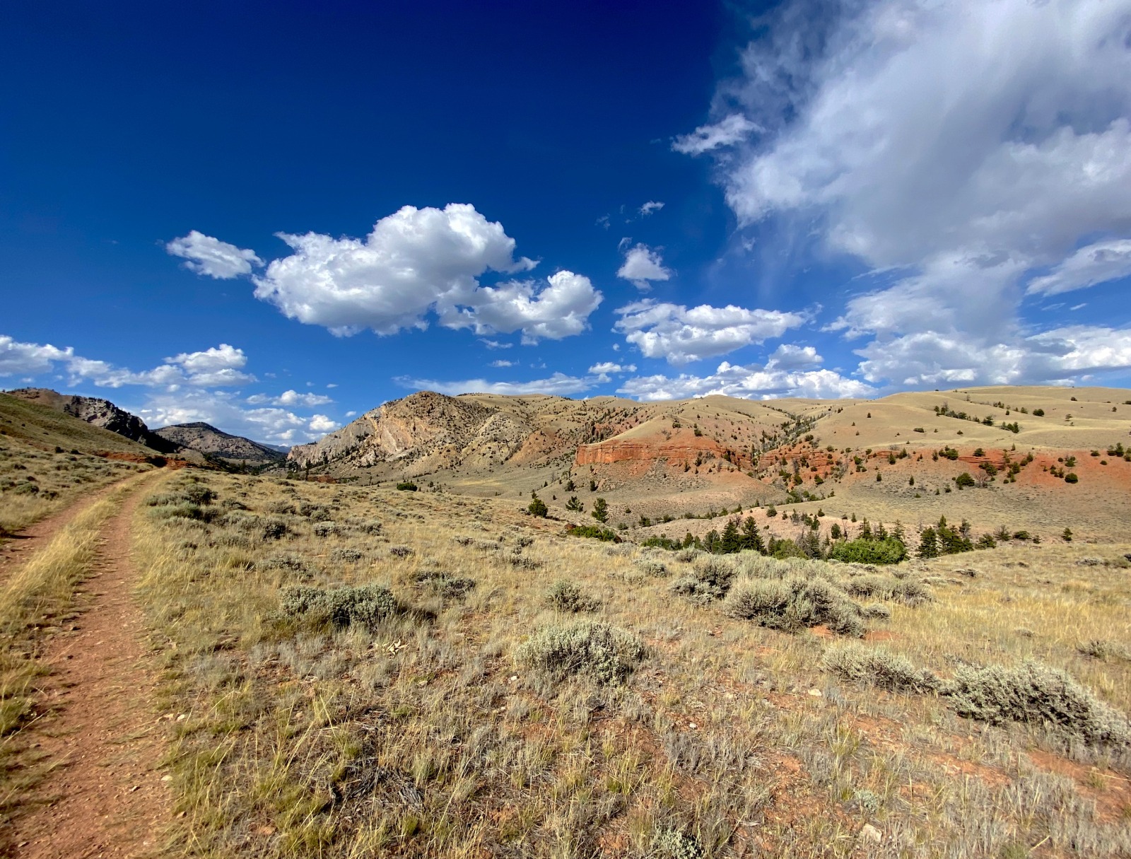 Dubois Wyoming Fishing Trips