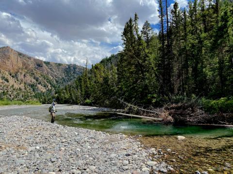 Wind River Fly Fishing Trips