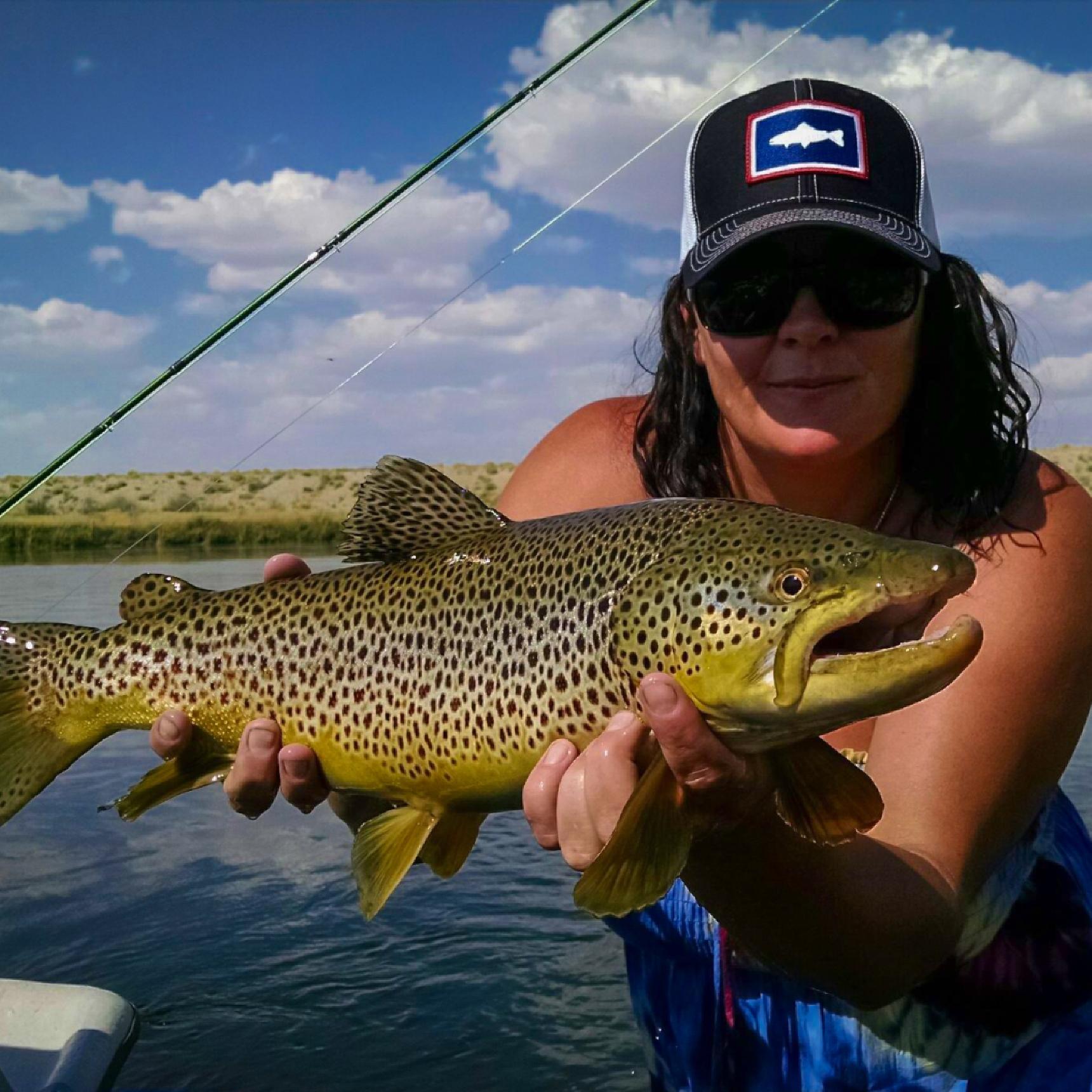 Green River Fly Fishing Trips