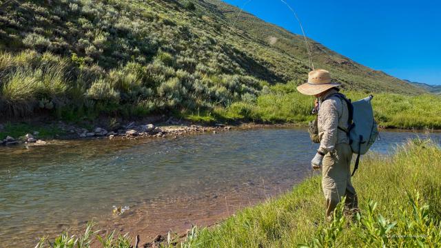 Wyoming Fly Fishing Guides 