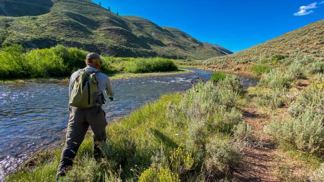 Wyoming Fly Fishing Guides