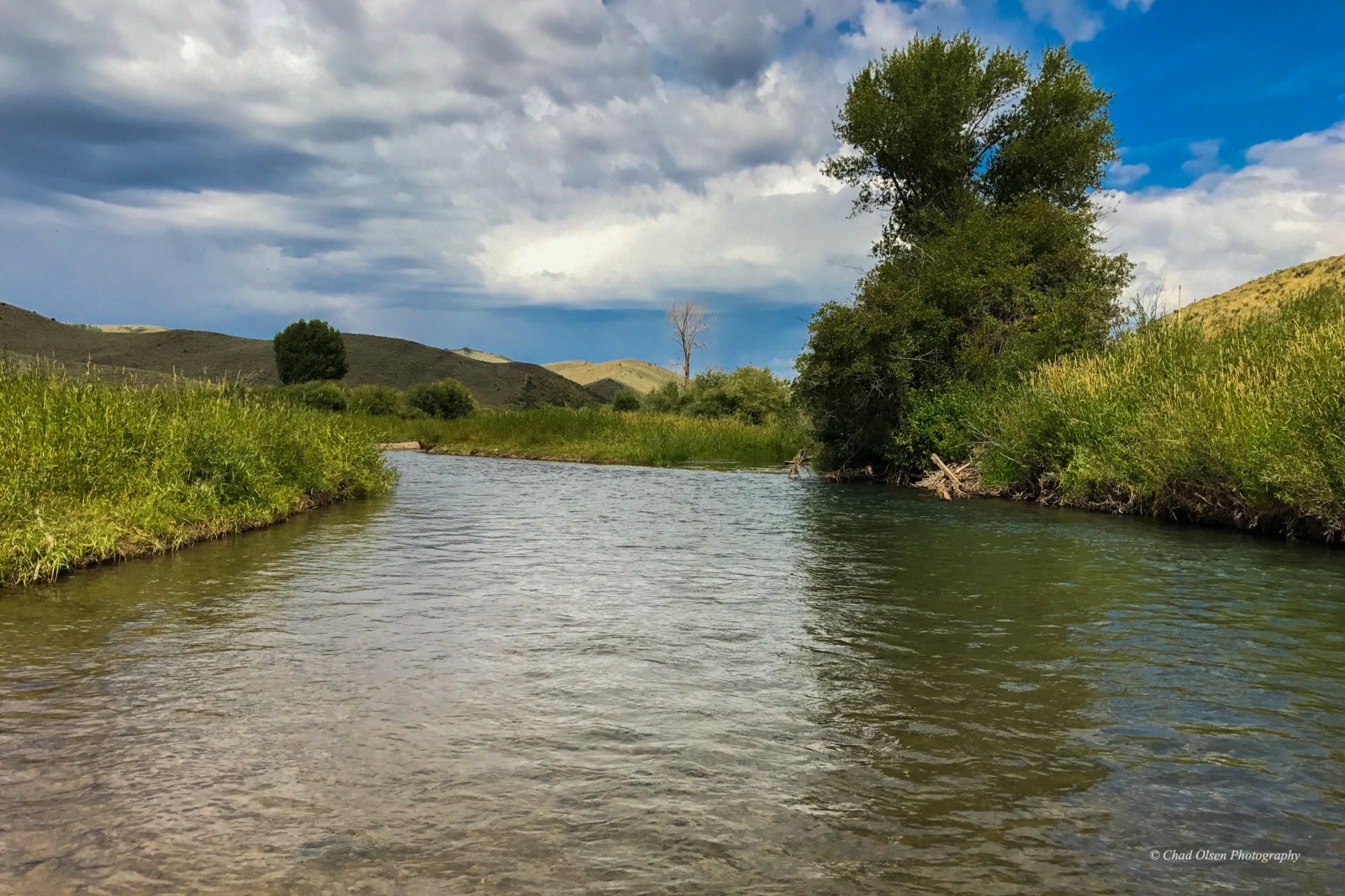 Wyoming Fly Fishing Trips