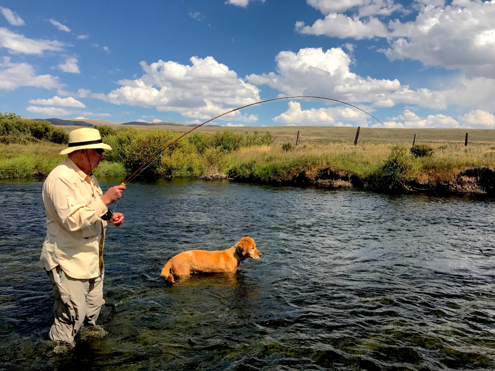 Guided Fly Fishing Trips Wyoming