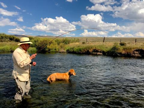 Guided Fly Fishing Trips Wyoming
