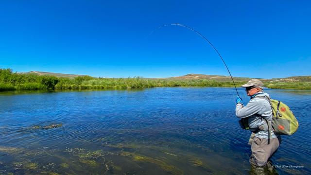 Wyoming Fishing Trips
