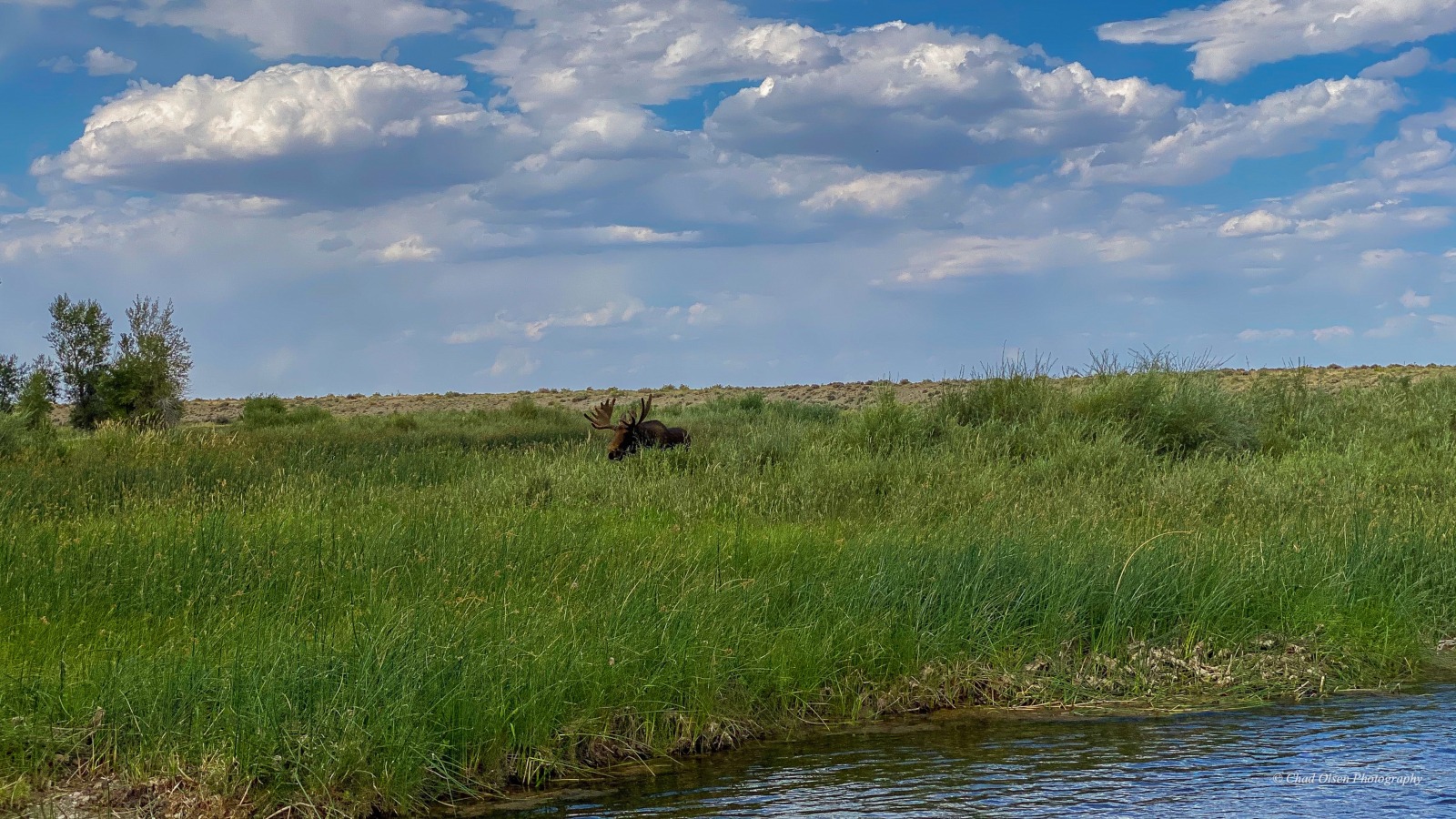 Green River Fishing Trips