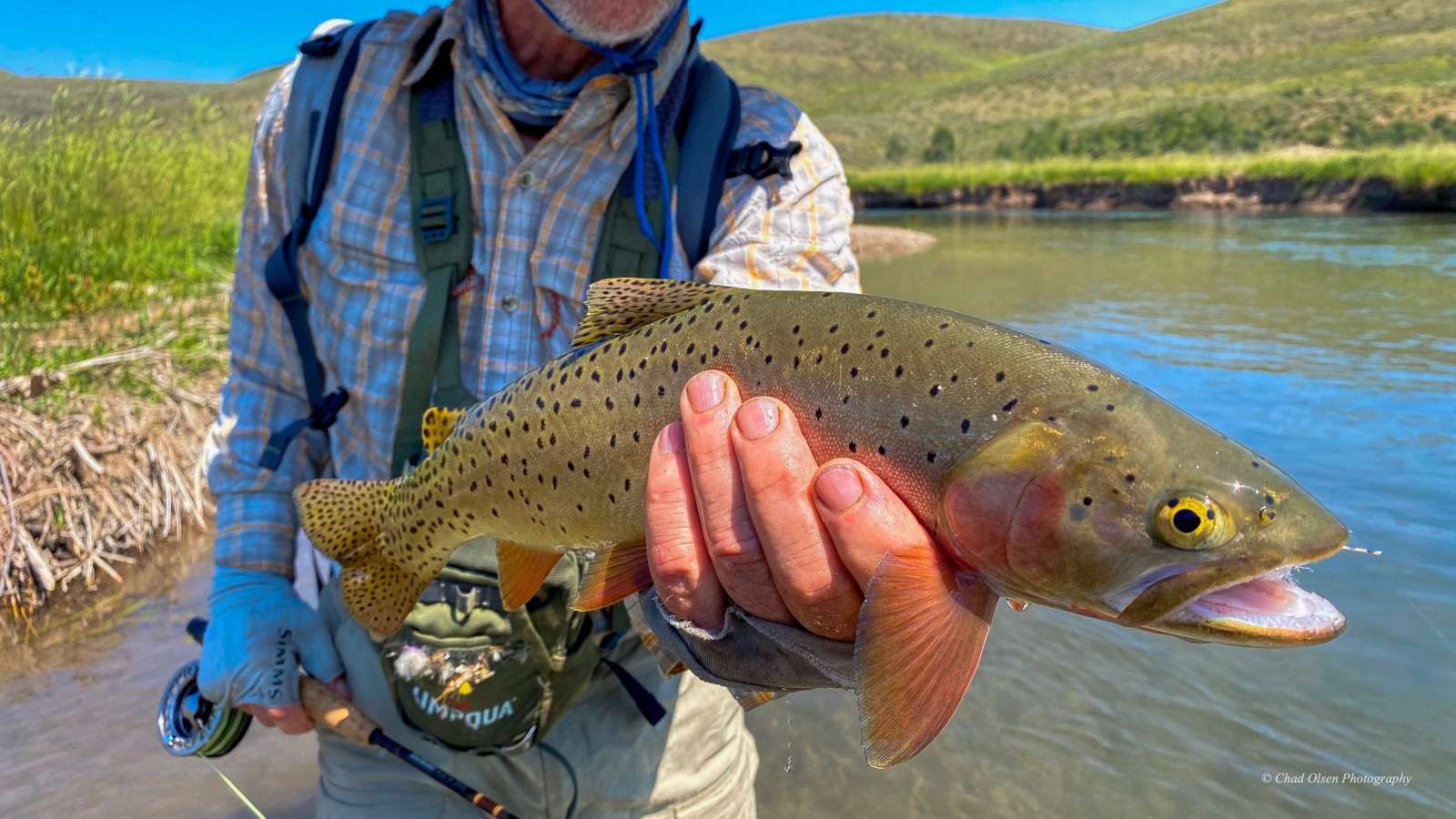 Guided Wyoming Fishing Trips