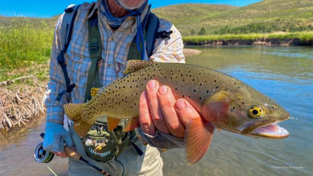 Guided Wyoming Fishing Trips