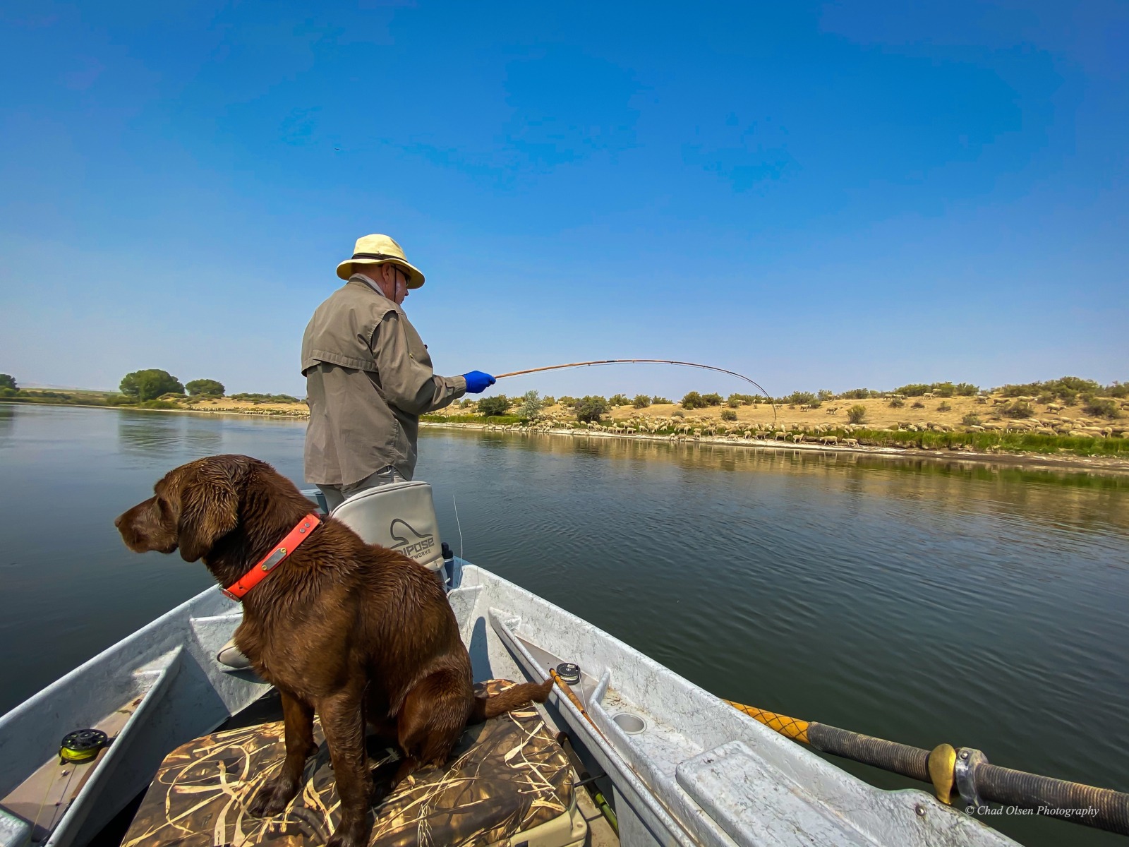 Grey Reef Fishing Trips