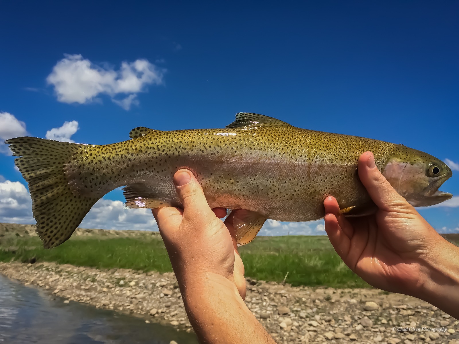 Grey Reef Fly Fishing