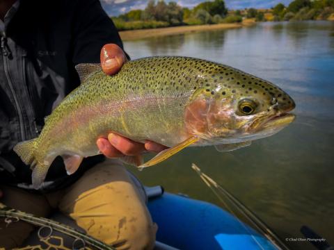 North Platte Fishing Guides