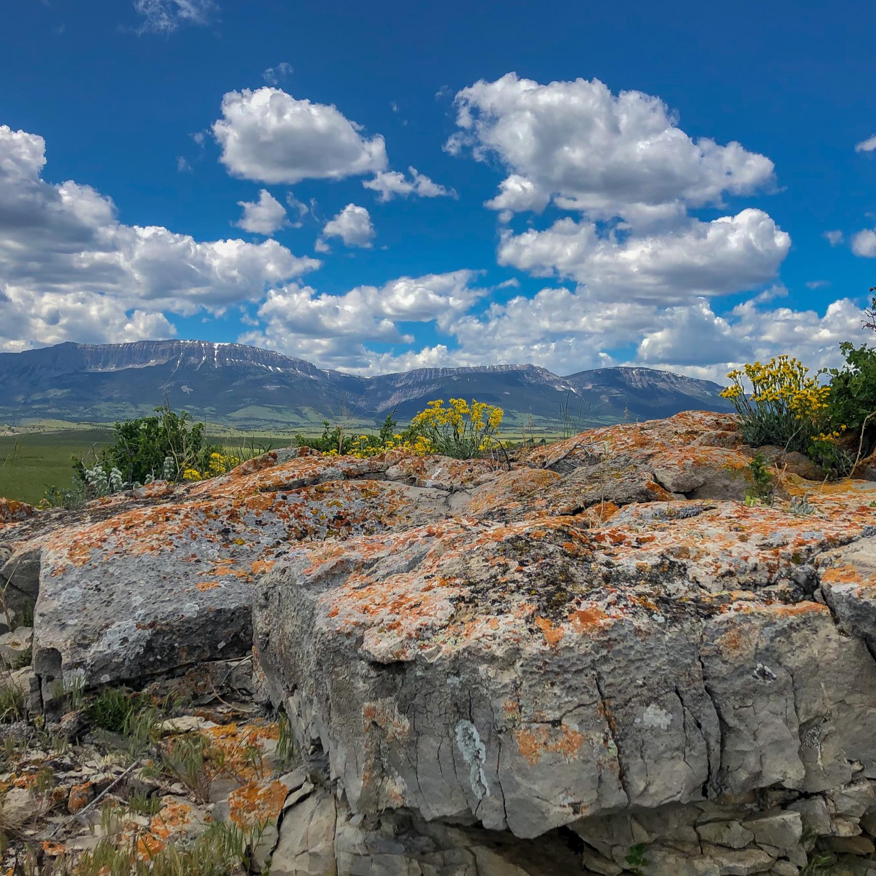 Montana Overnight Fishing Trips