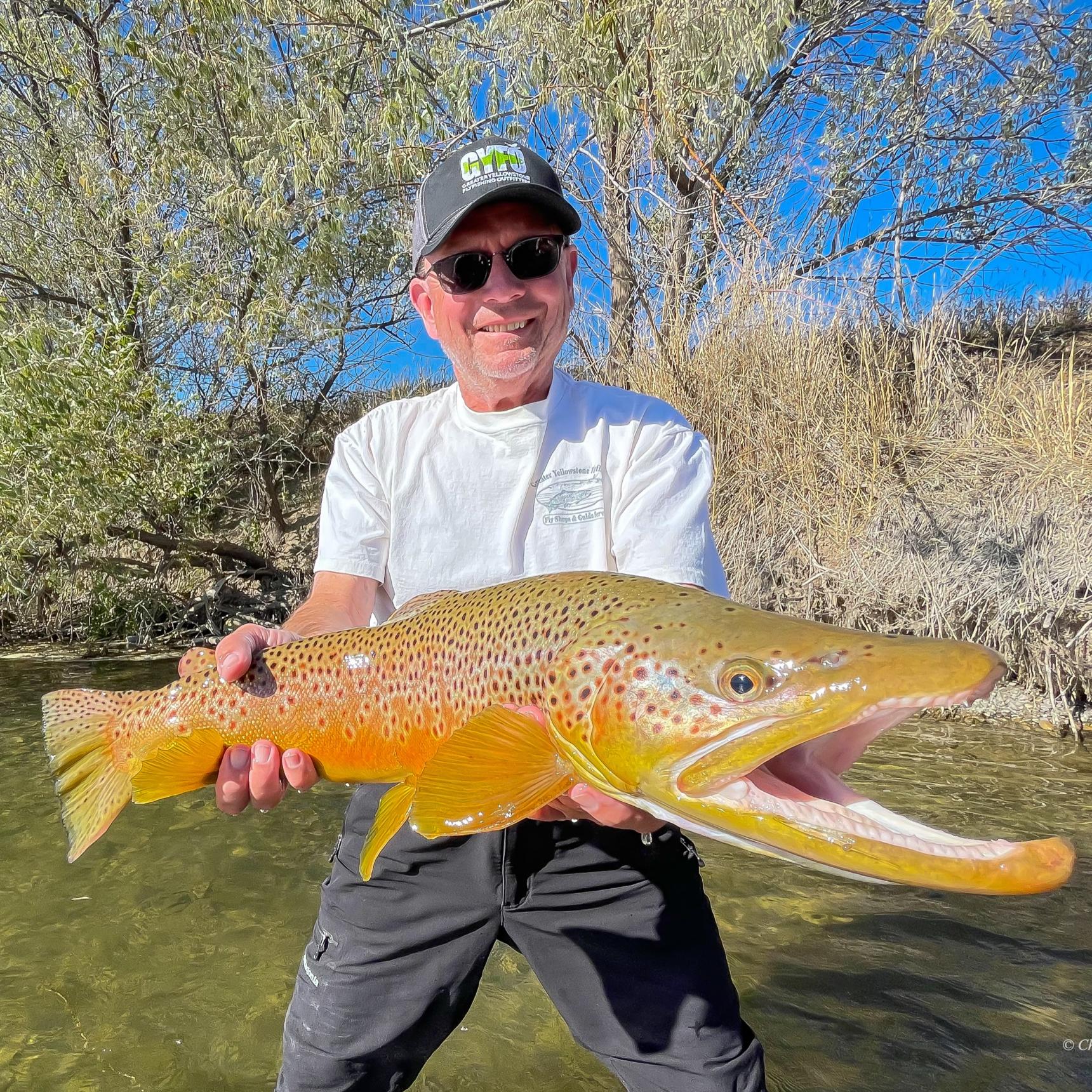 Bighorn River Fishing Trips
