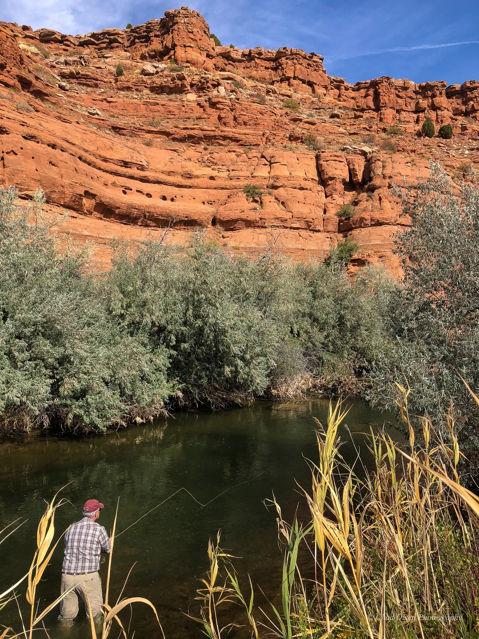 Bighorn River Fishing Trips