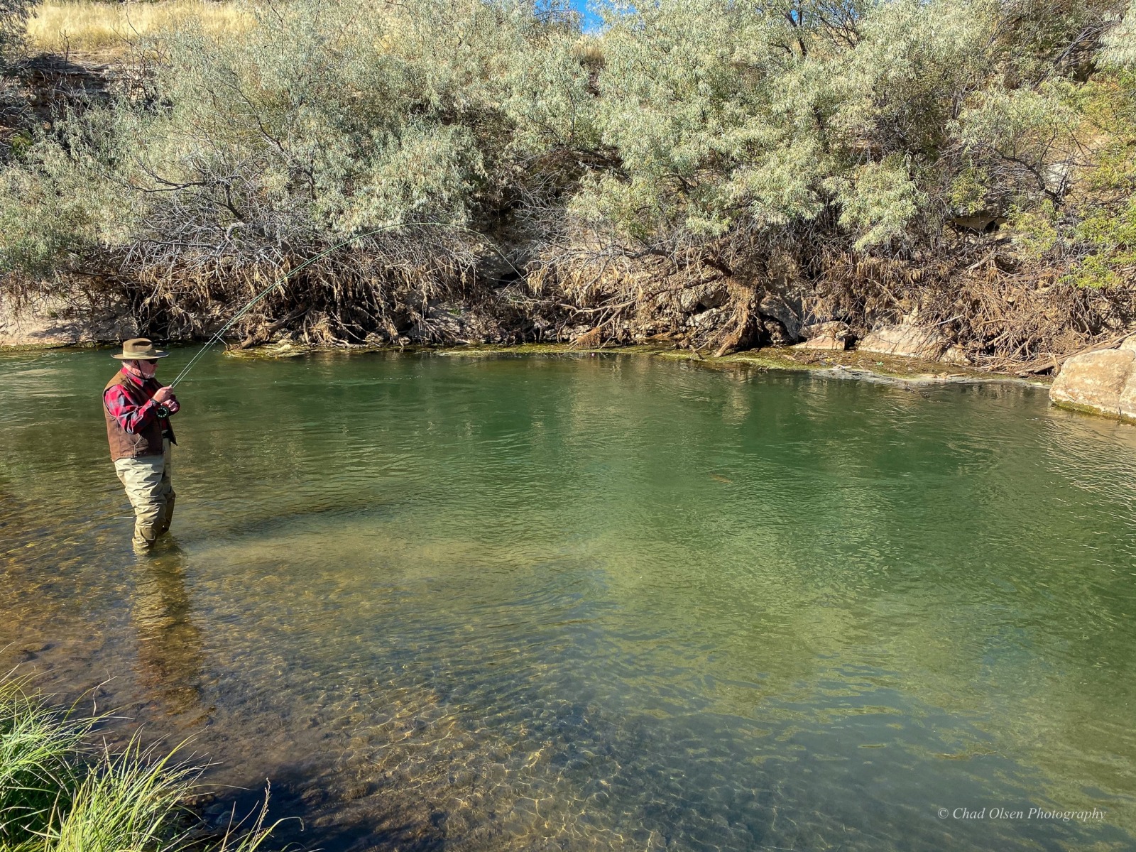 Bighorn River Fishing Trips