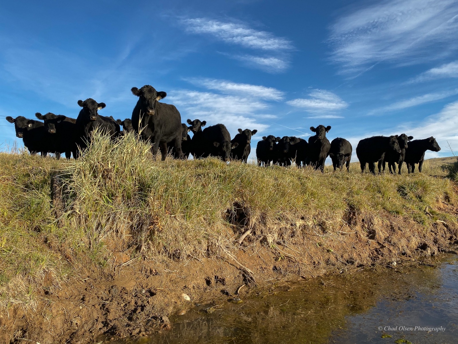 Bighorn River Wyoming