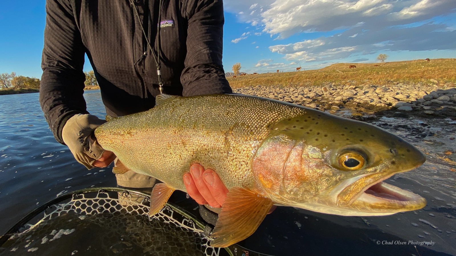 Wyoming Fishing Trips