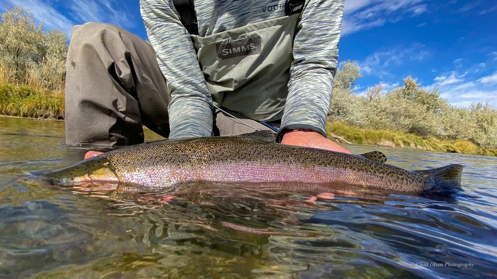 Wyoming Fly Fishing Guides