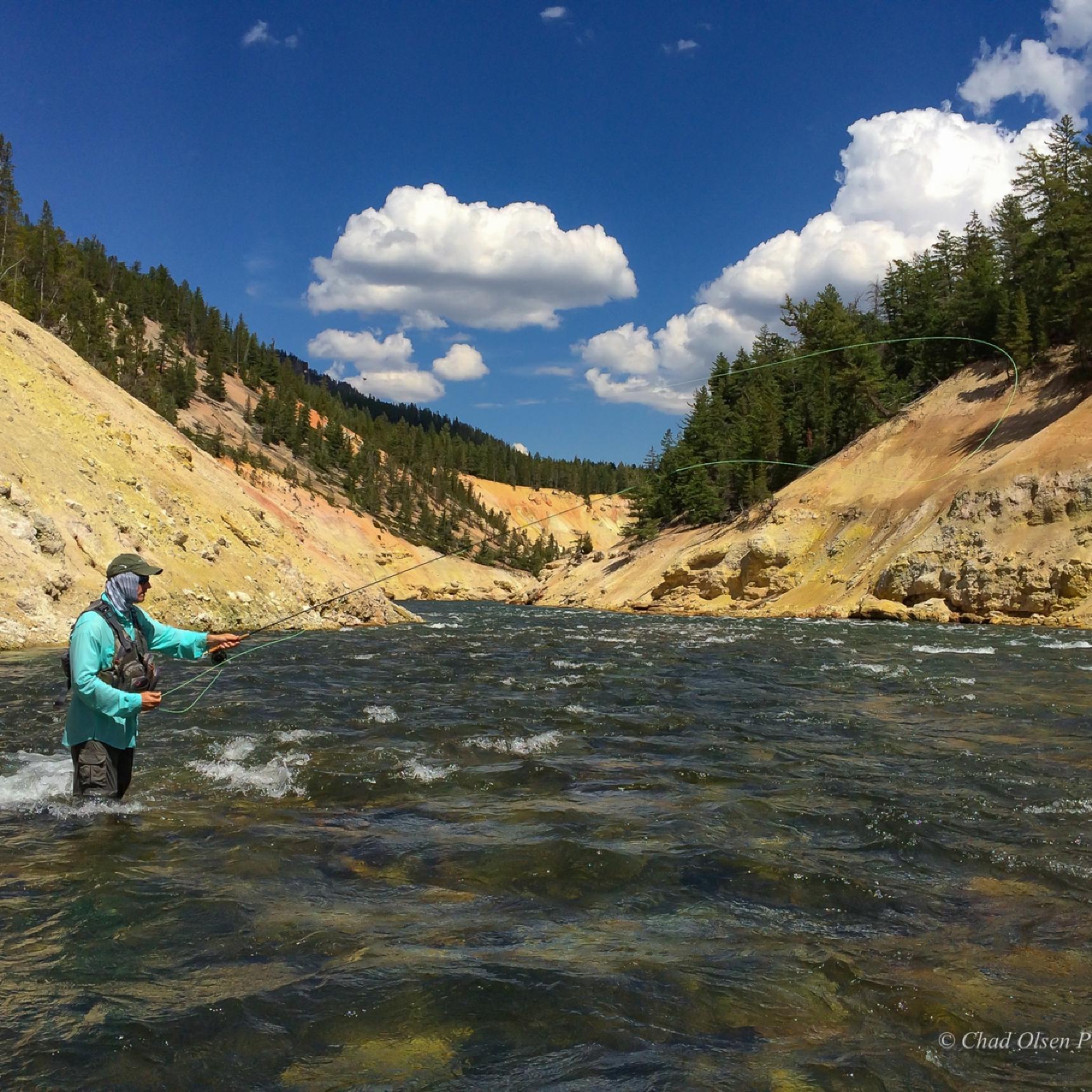Fly Fishing Yellowstone