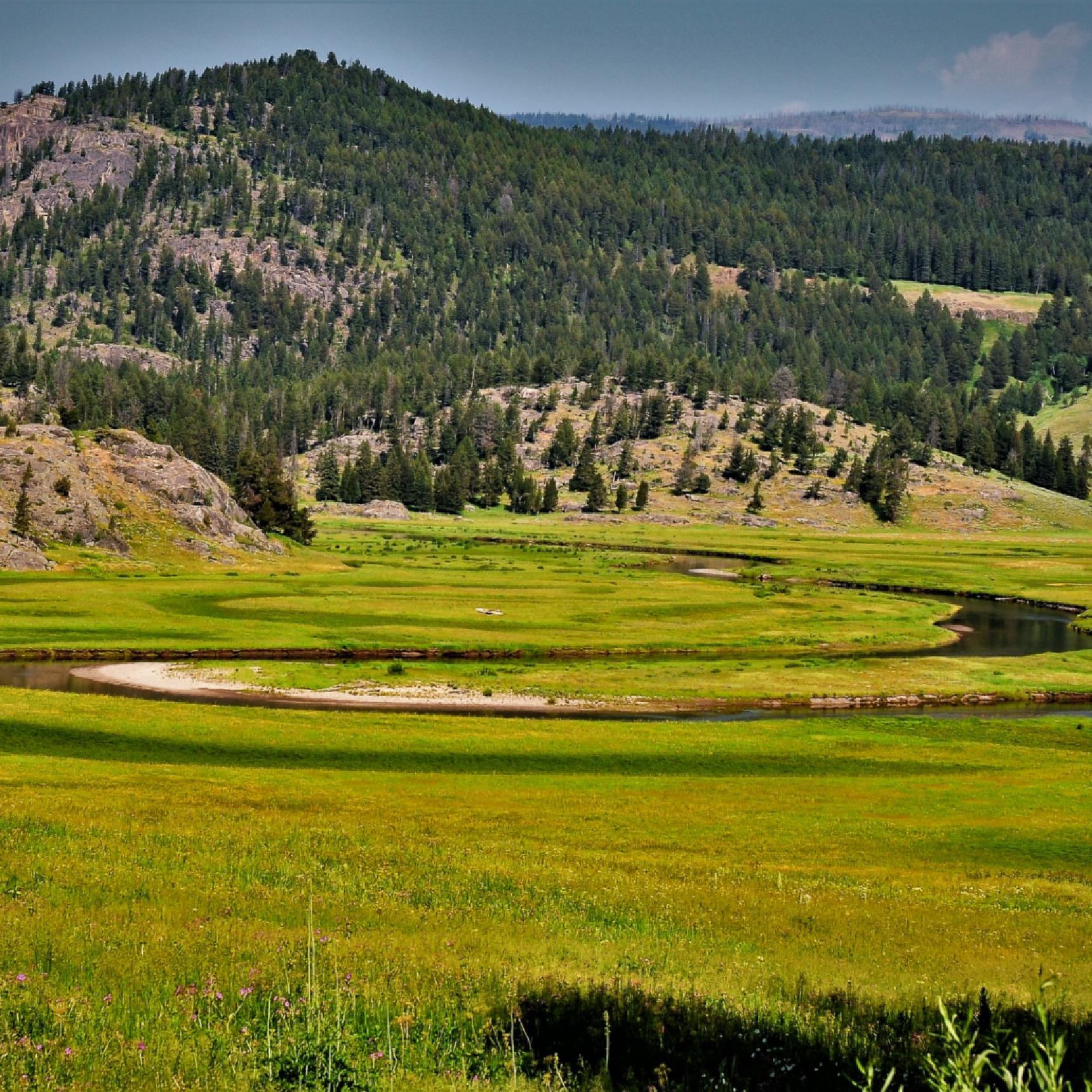Yellowstone Park Fishing Guides