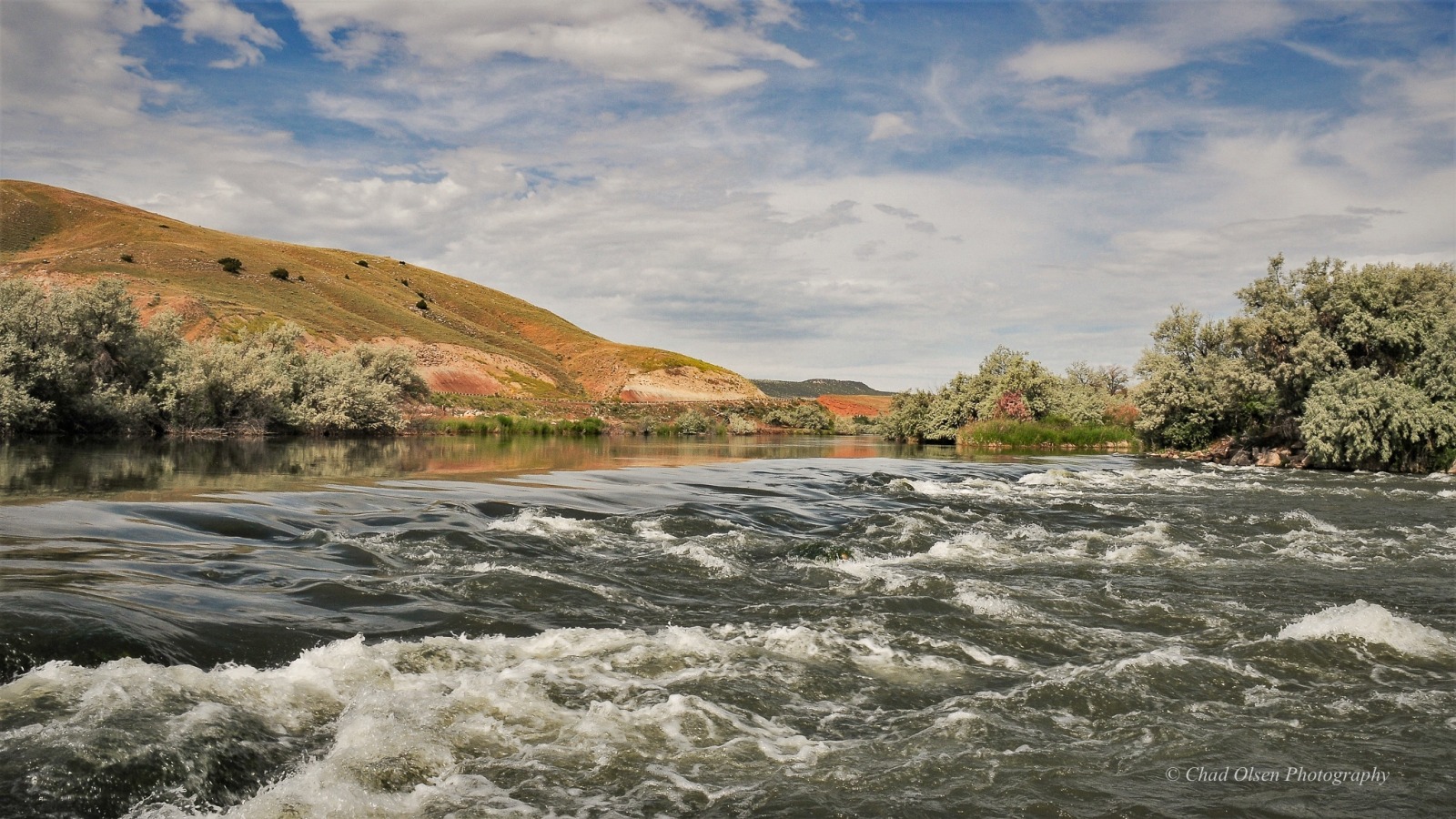 Bighorn River Fishing Trips