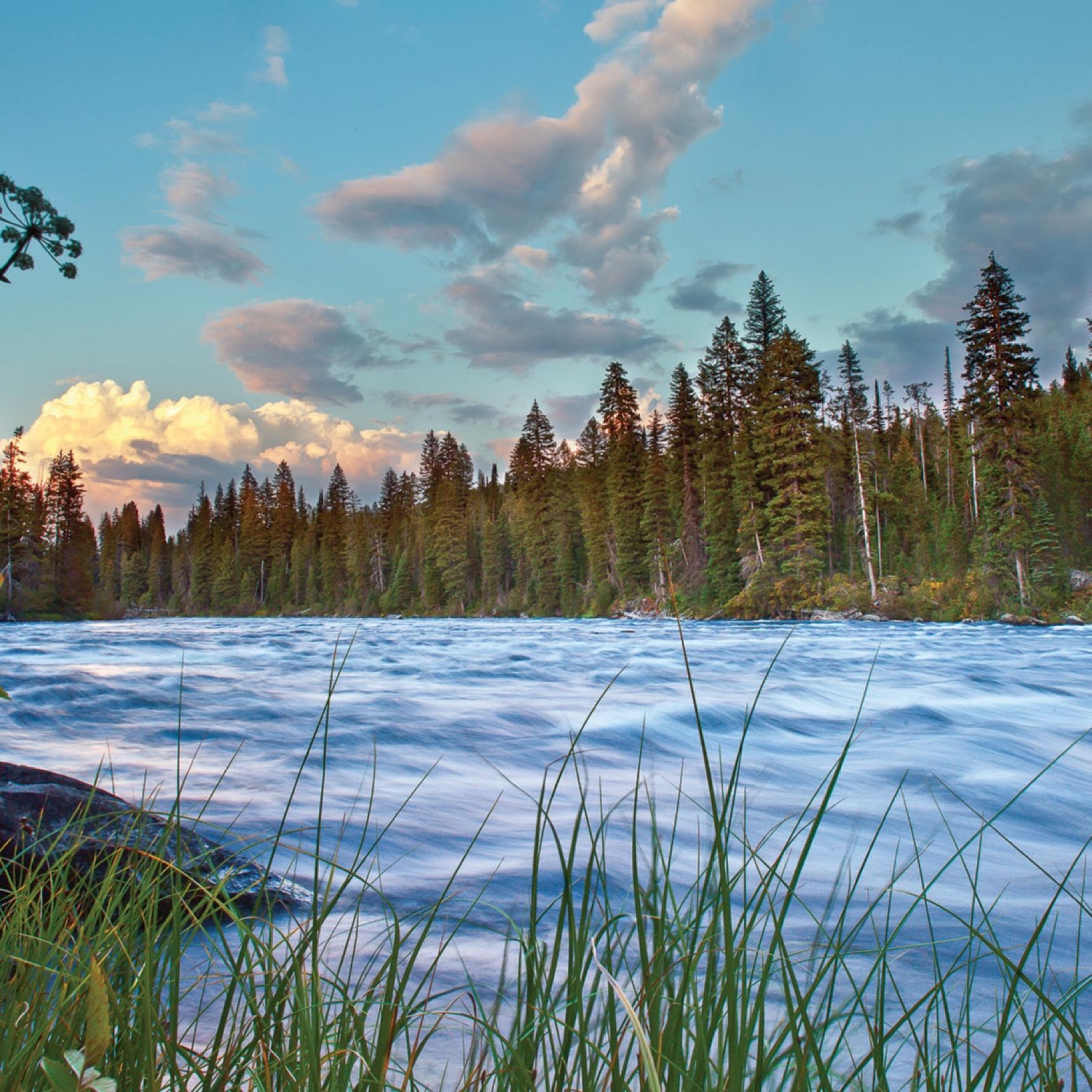 Yellowstone Wilderness Pack Trips