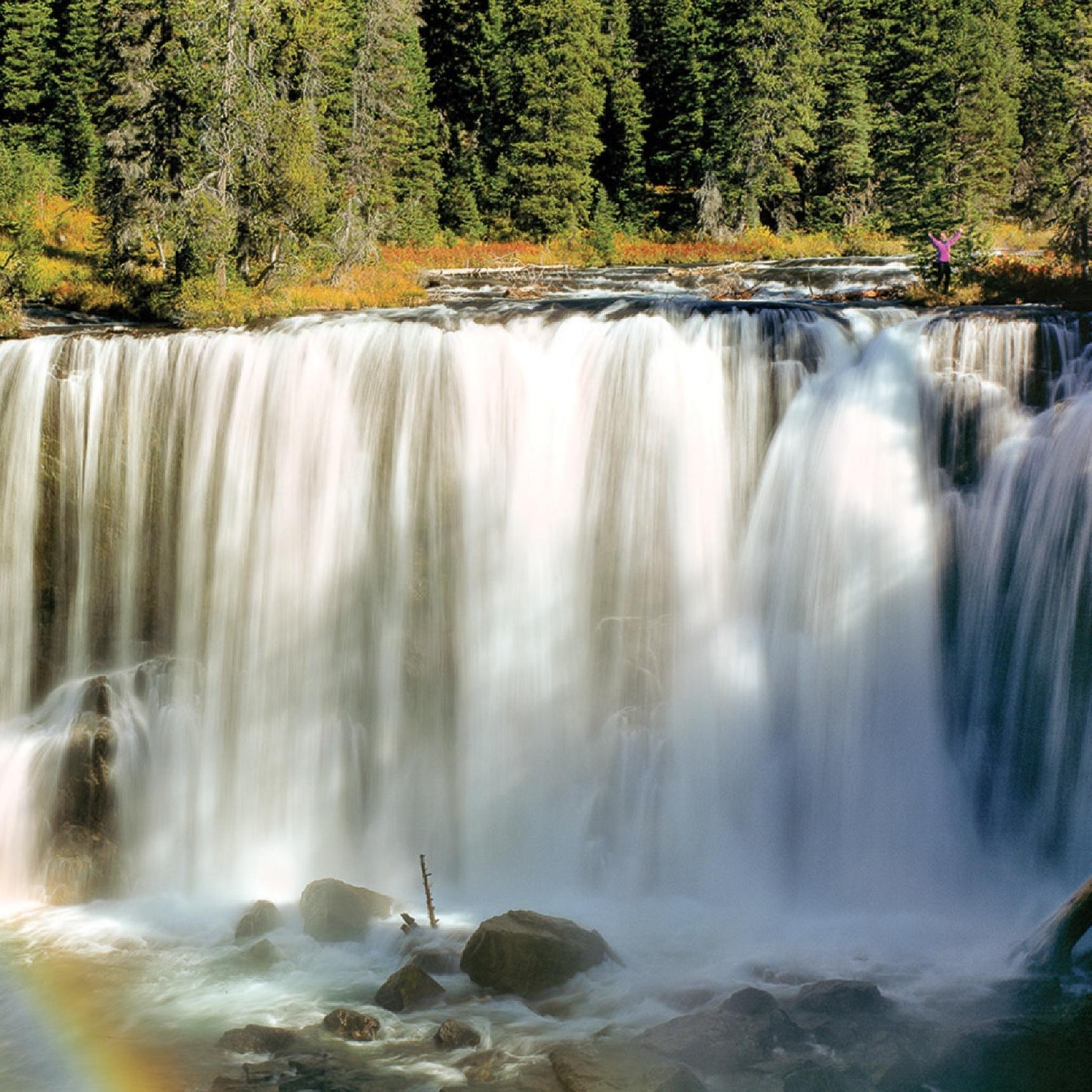Yellowstone Fishing Guides