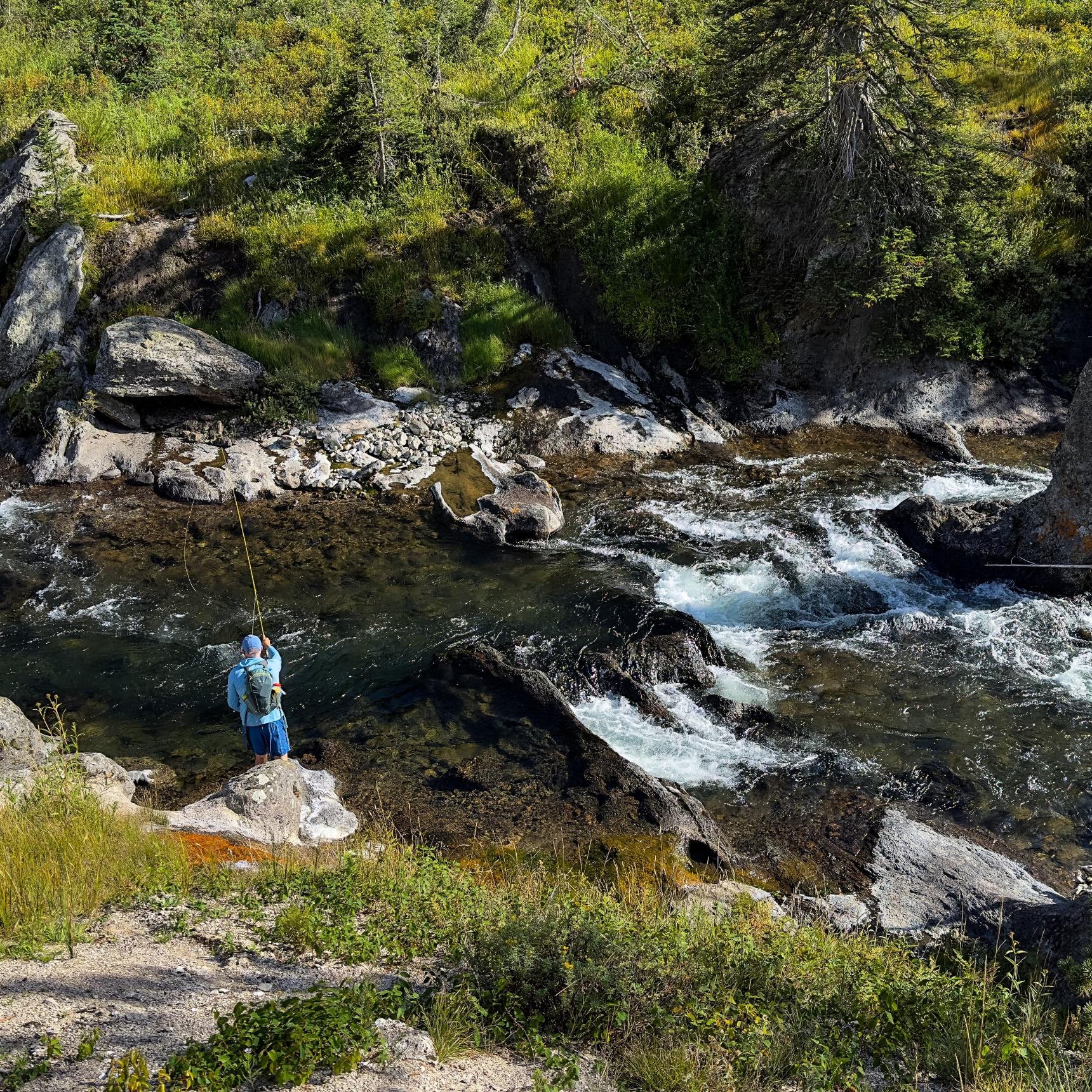 Yellowstone Flyfishing Trips
