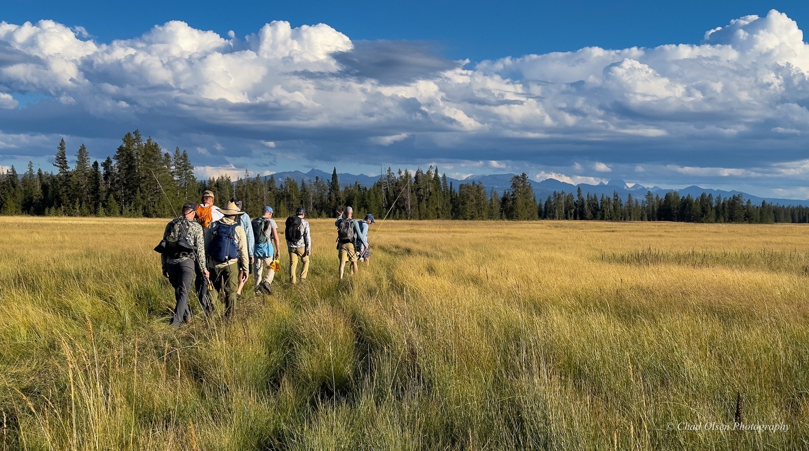 Yellowstone Park Wilderness Trips