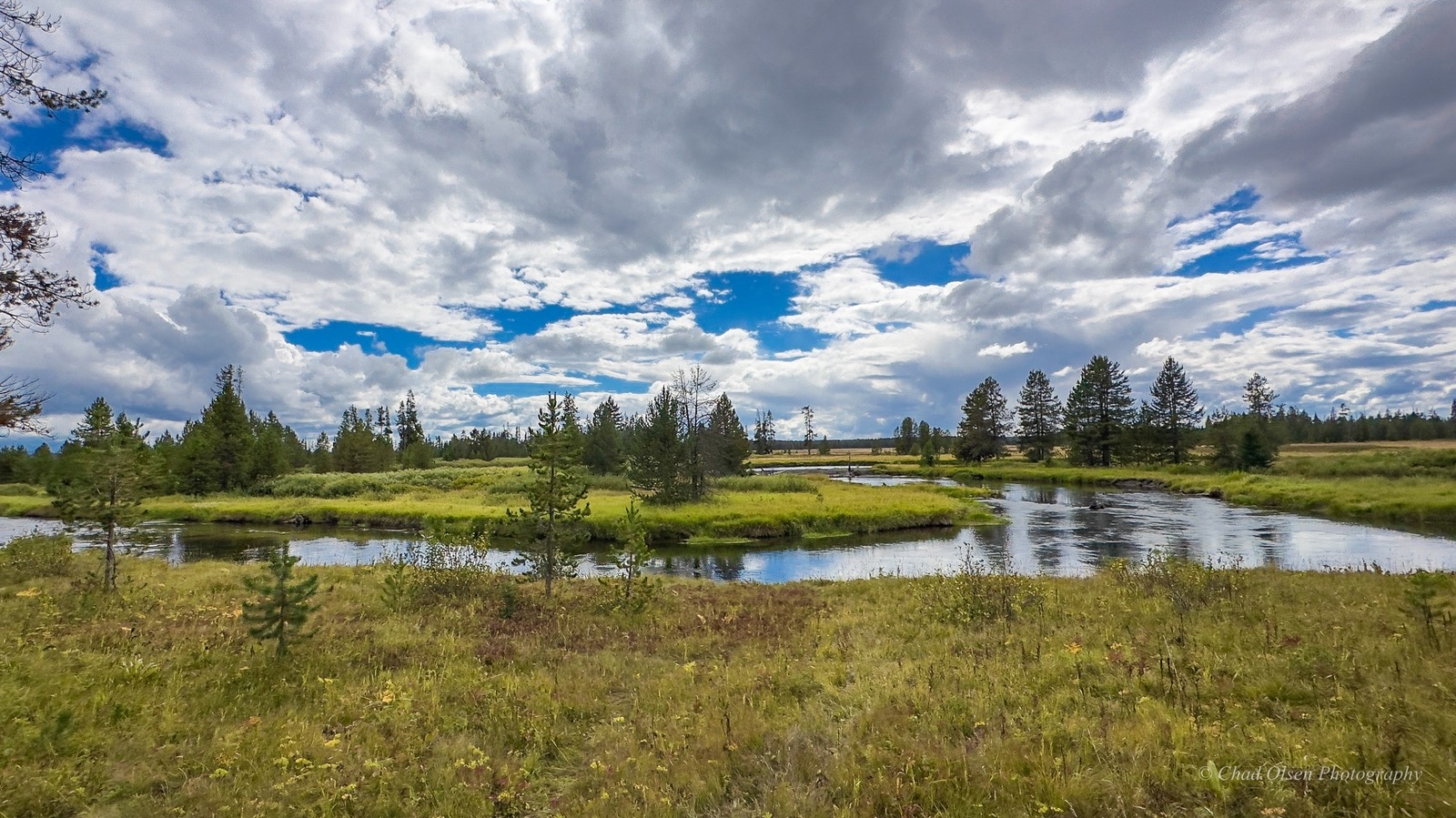 Yellowstone Park Fly Fishing Trips