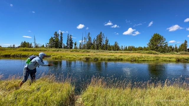 Yellowstone Park Guided Fly Fishing Trips, Bechler River