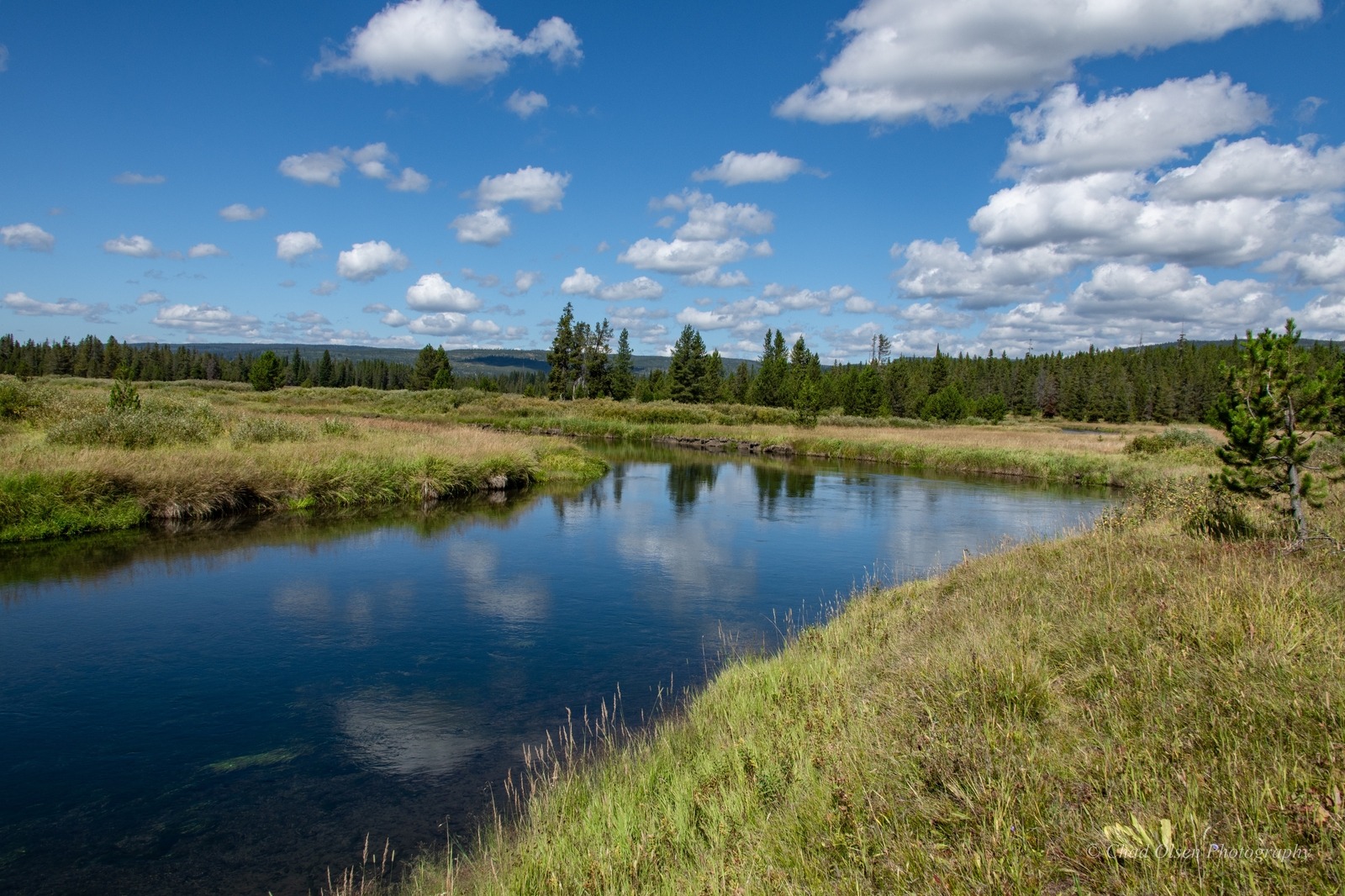 Yellowstone Backcountry Fly Fishing Trips