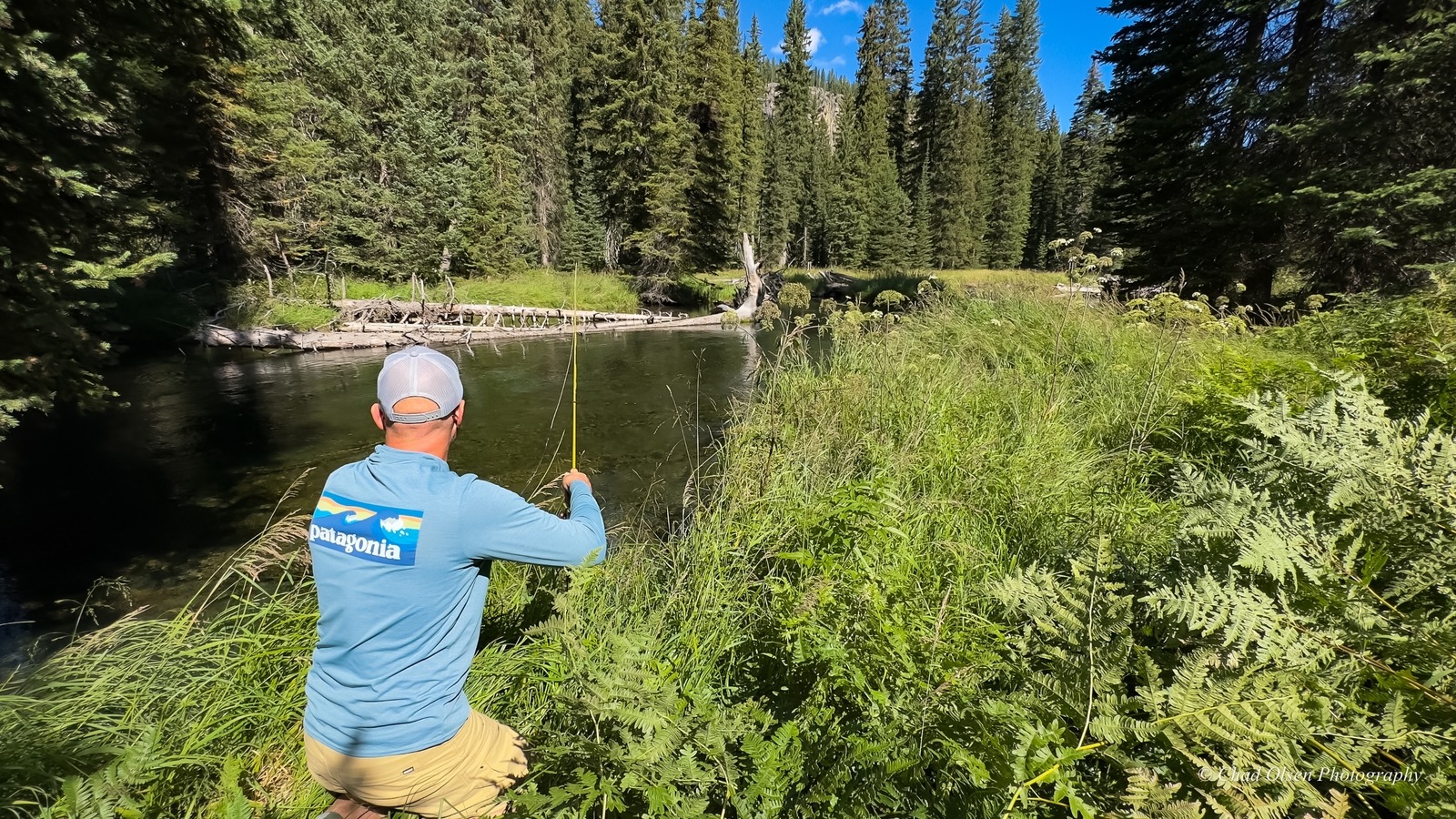 Bechler River Guided Fishing Trips