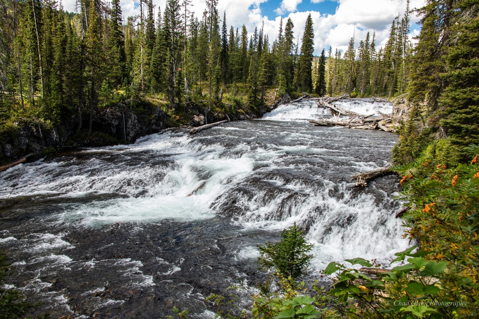 Yellowstone Park Pack Trips