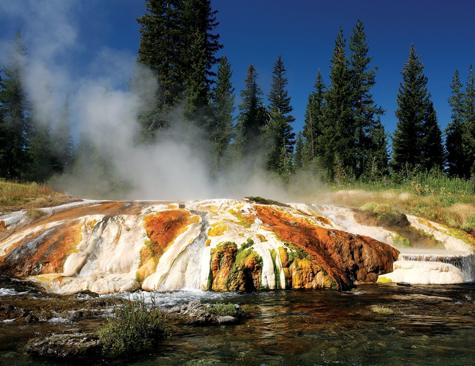 Bechler River Pack Trips