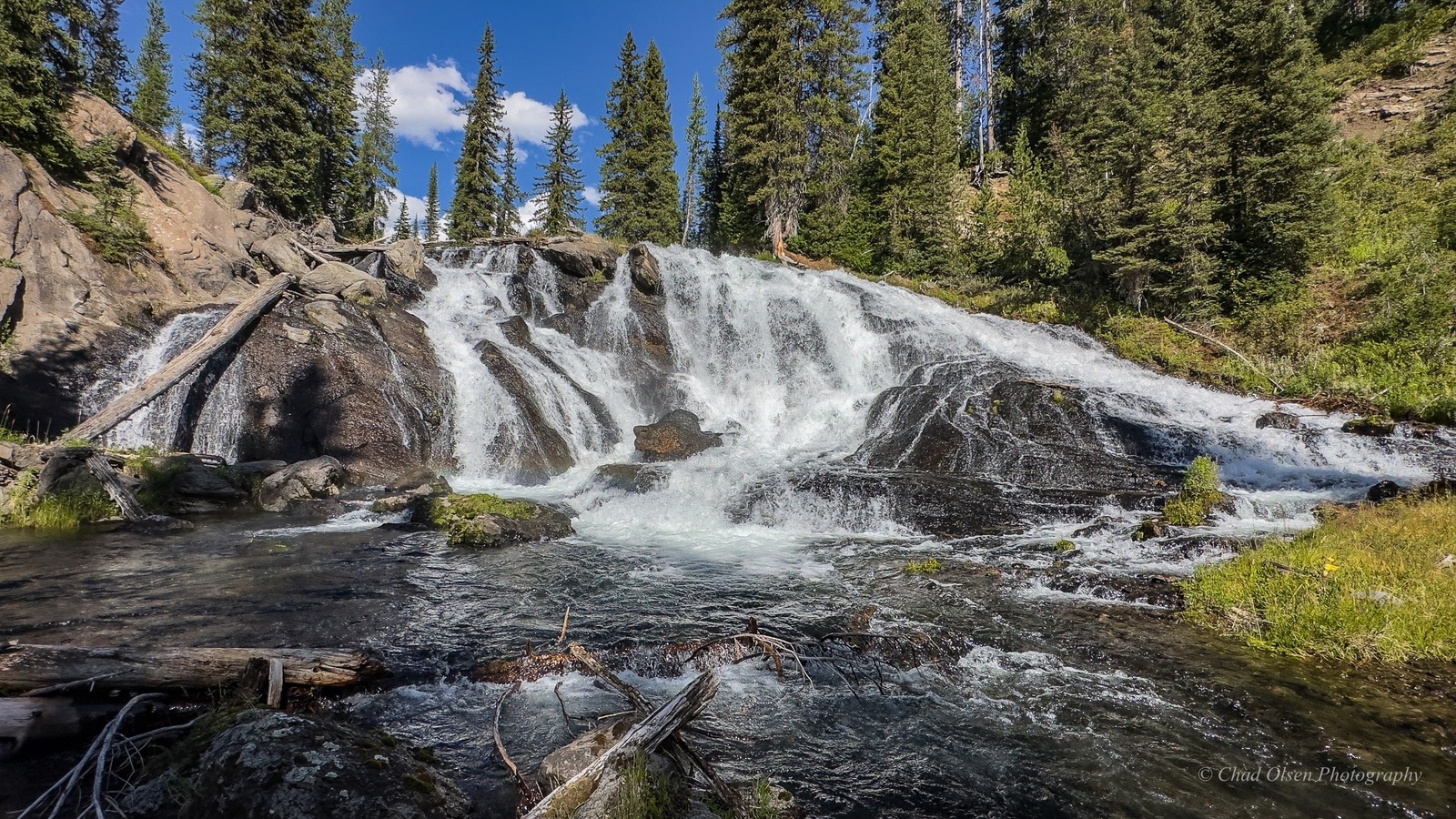 Bechler River Pack Trips