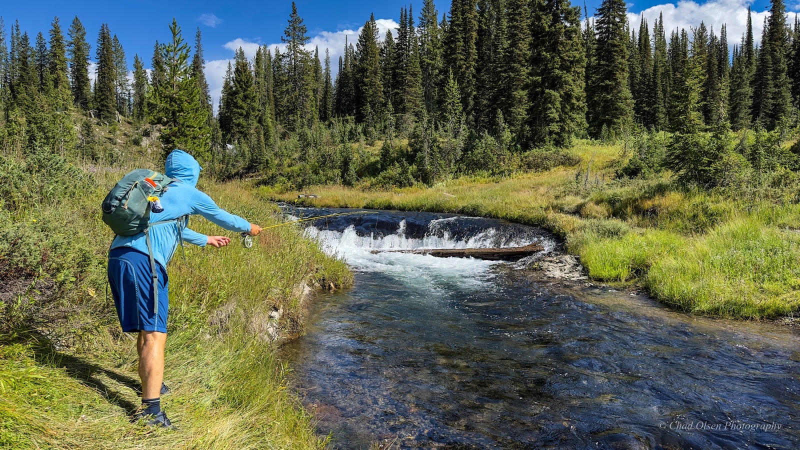 Yellostone Park Fishing Trips