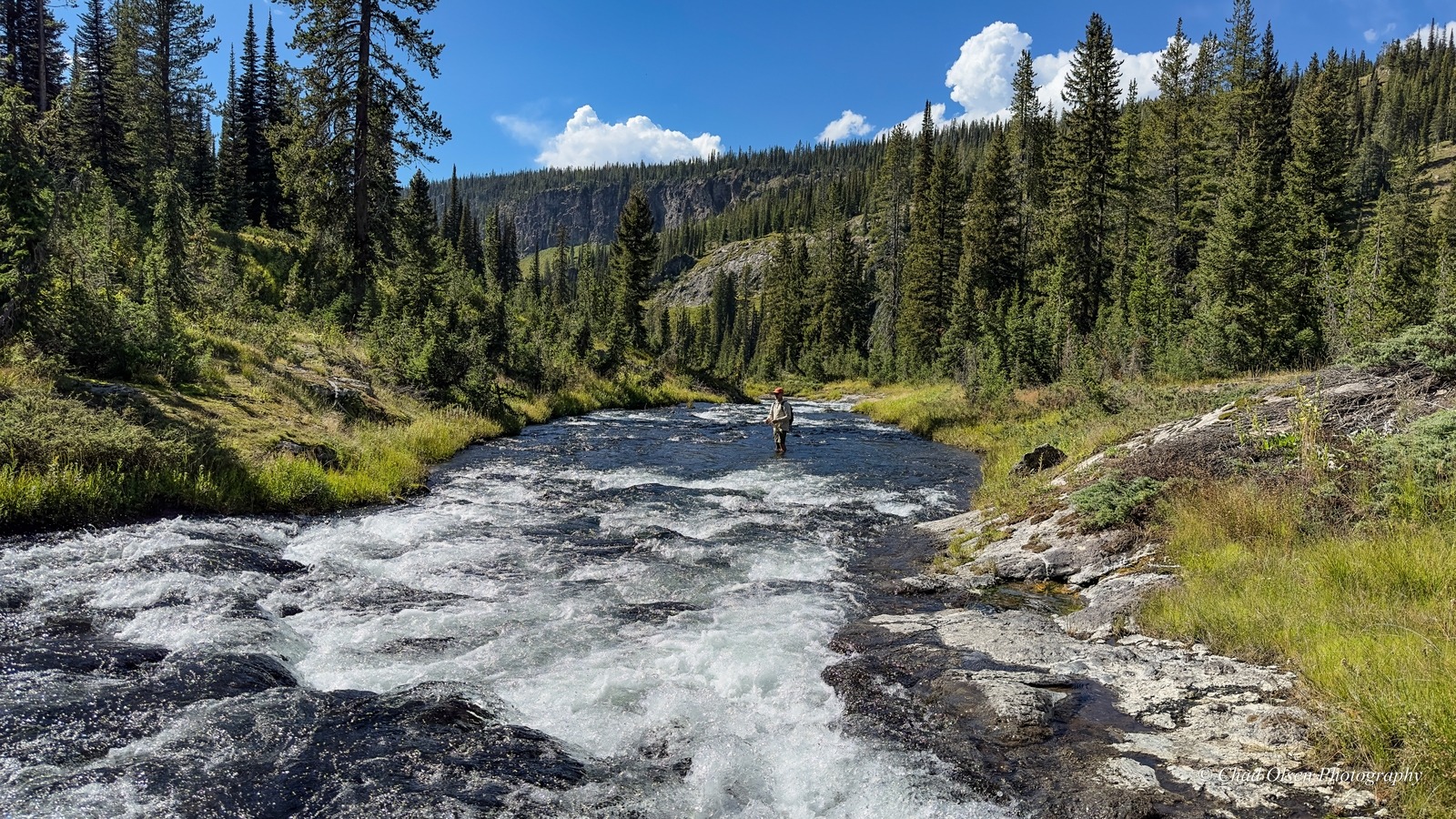 Yellowstone Park Fishing Pack Trips