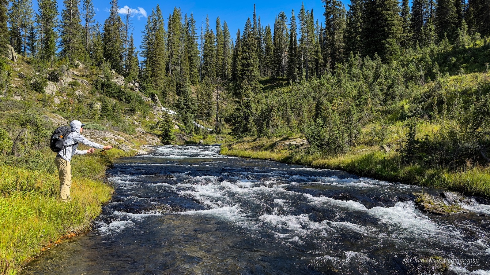 Bechler River Fishing Pack Trips