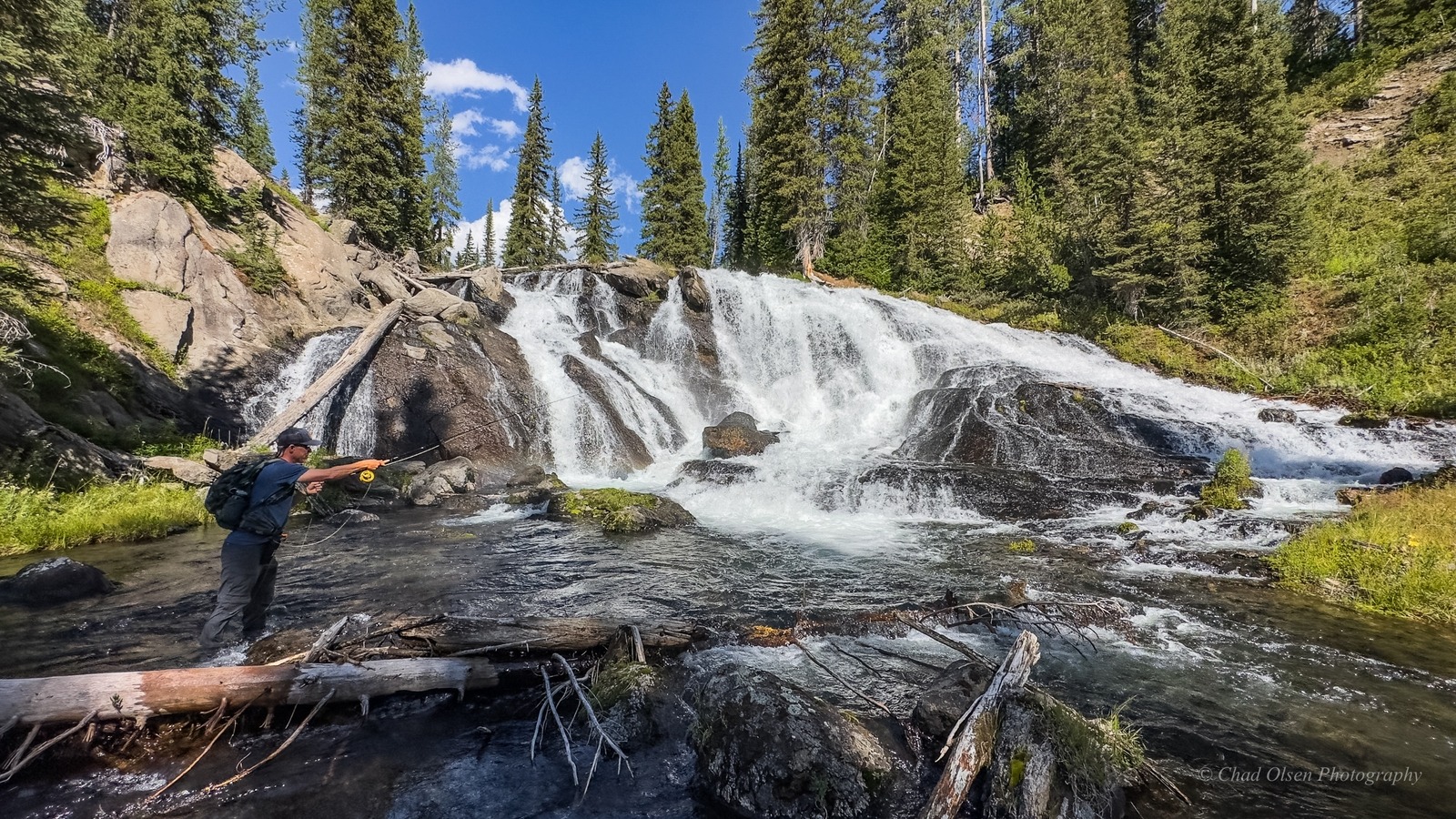 Bechler River Fishing Pack Trips