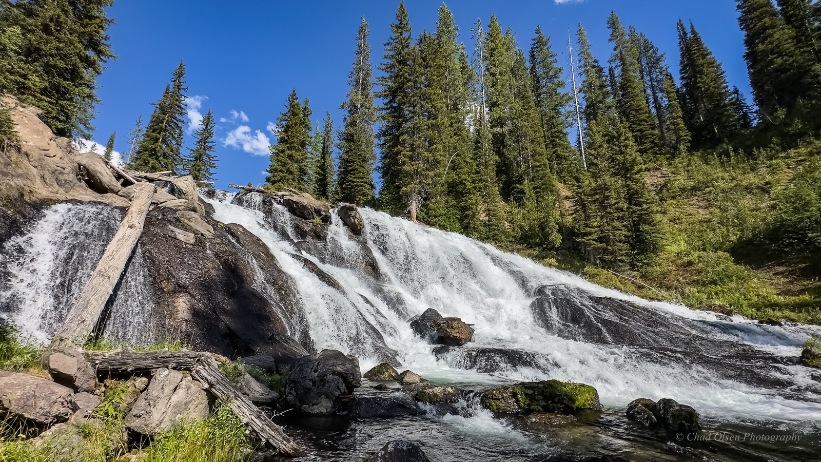 Bechler River Backcountry Fishing Trips