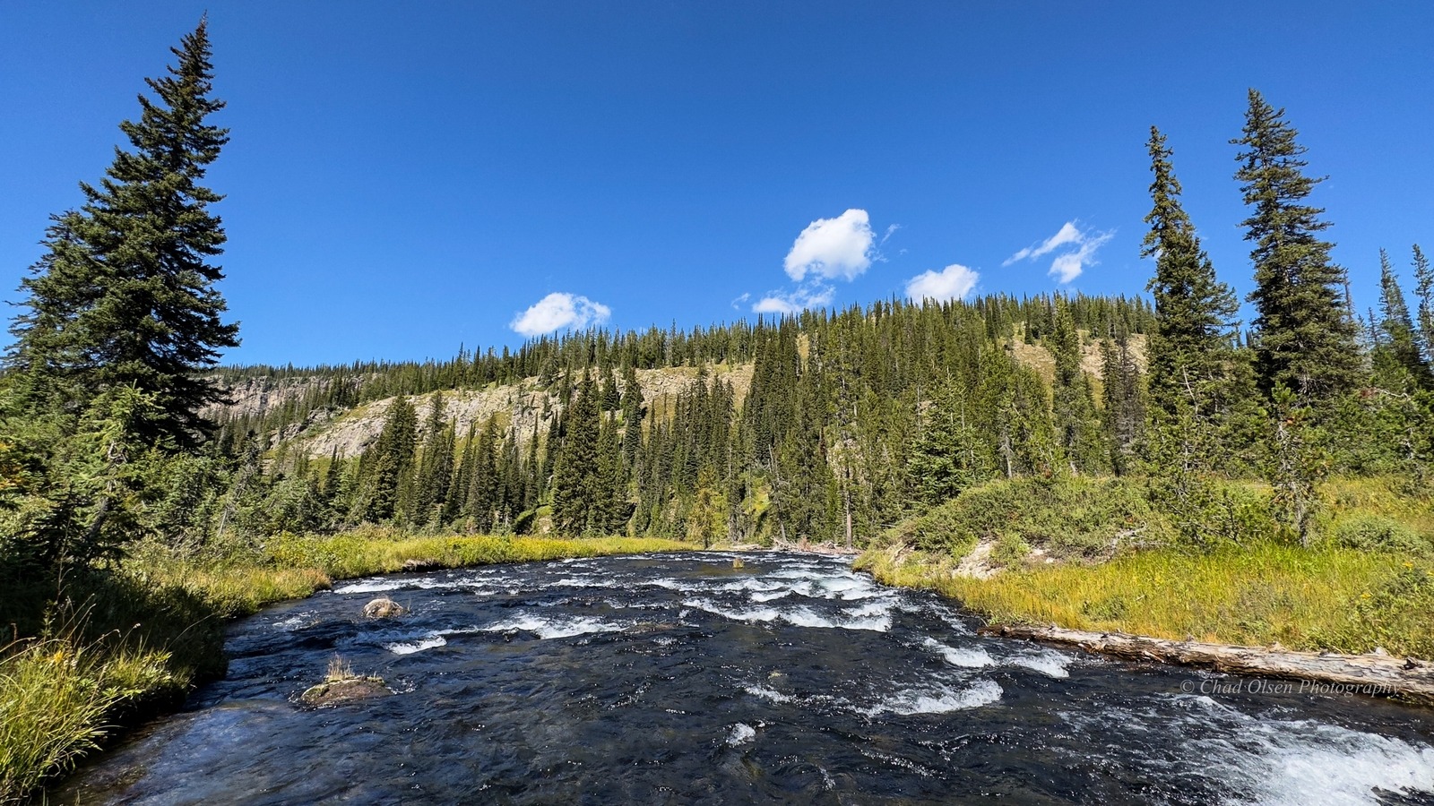 Bechler River Fishing Trips